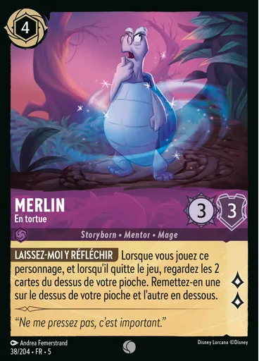 Merlin - Turtle