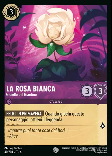 The White Rose - Jewel of the Garden