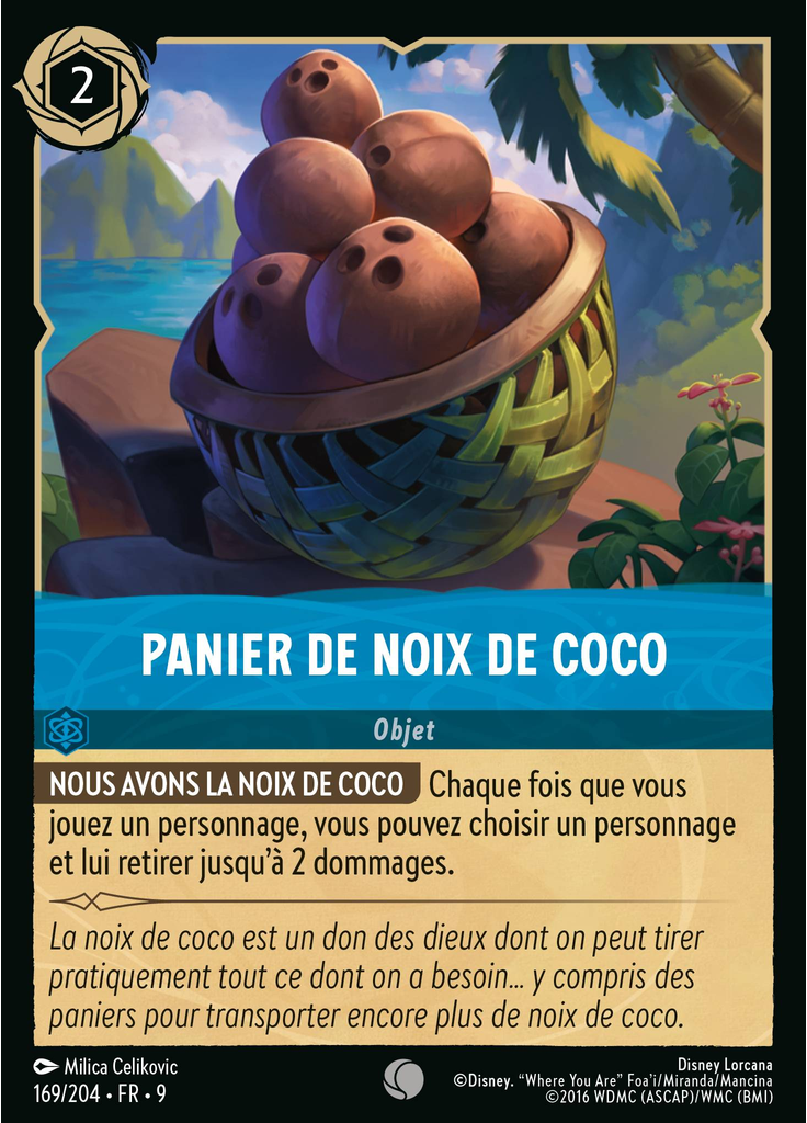Coconut Basket