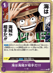 海は海賊が相手だ!!!