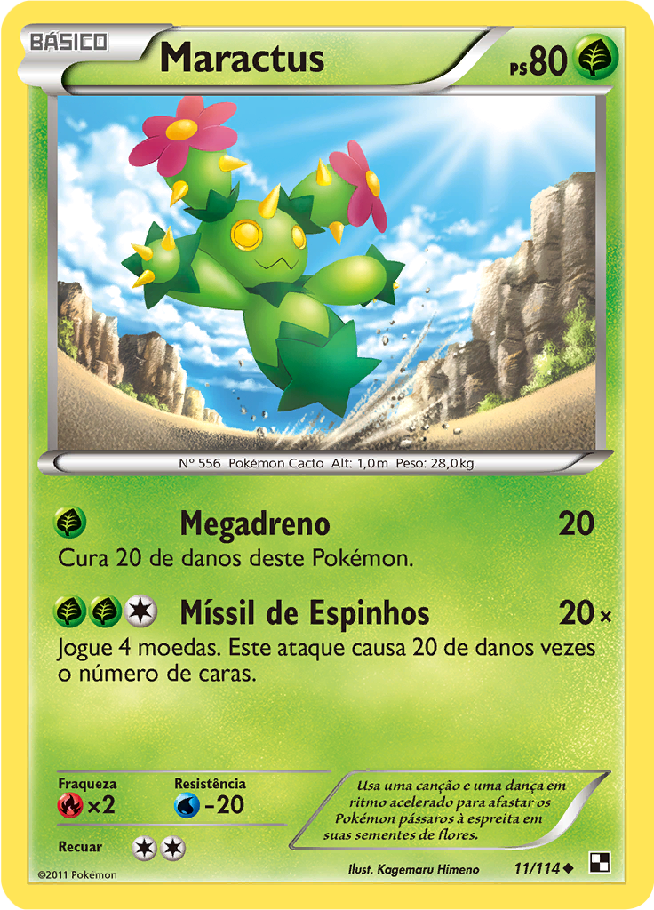 Maractus