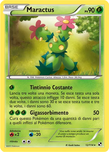 Maractus