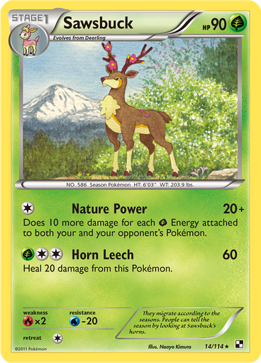 Sawsbuck