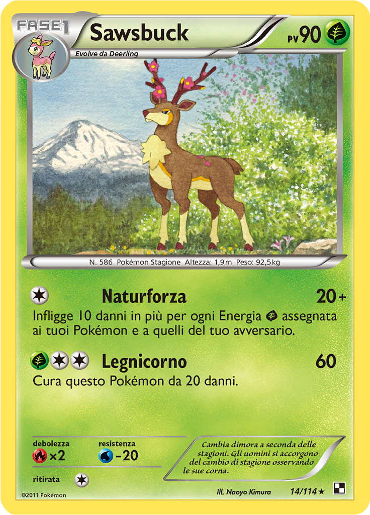 Sawsbuck