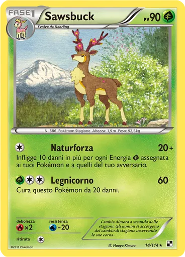 Sawsbuck