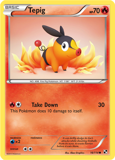 Tepig