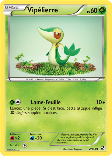 Vipélierre
