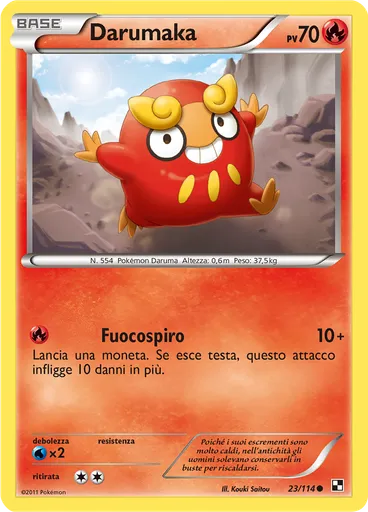 Darumaka