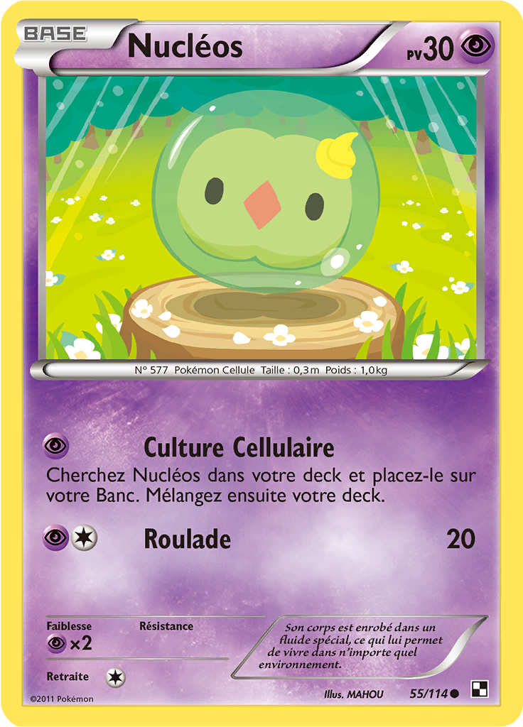 Nucléos