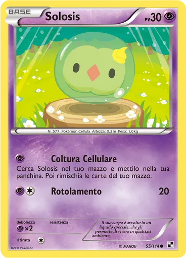 Solosis