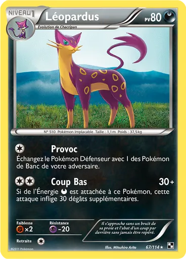 Léopardus