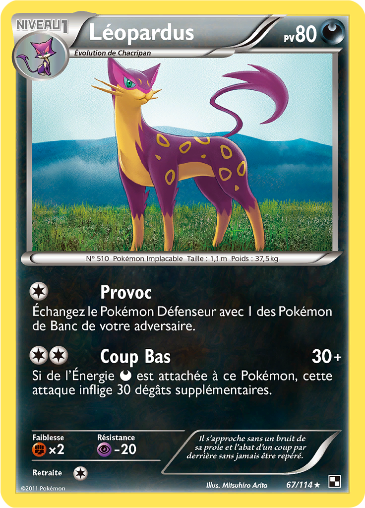 Léopardus