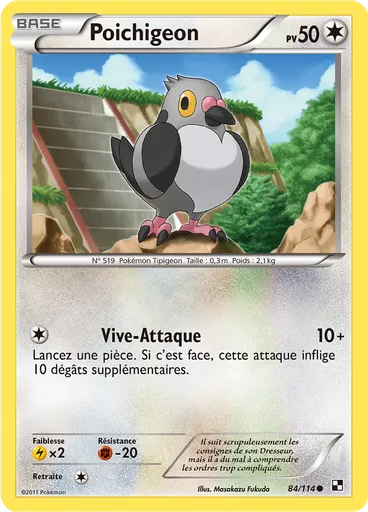 Poichigeon