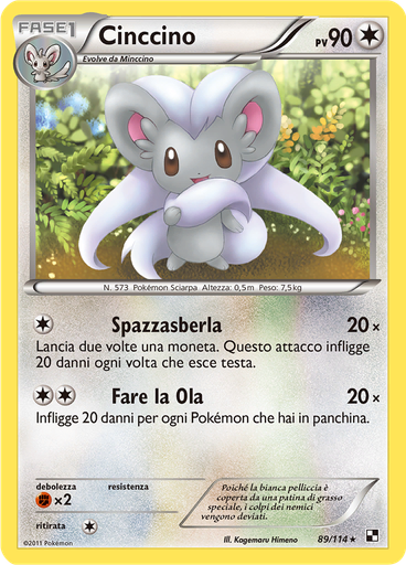 Cinccino