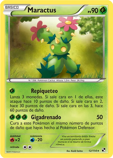 Maractus