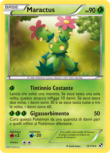 Maractus