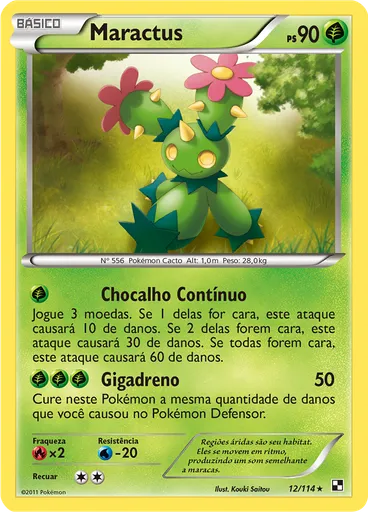 Maractus
