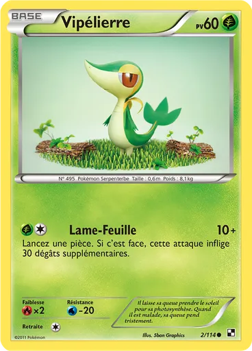 Vipélierre
