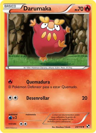Darumaka