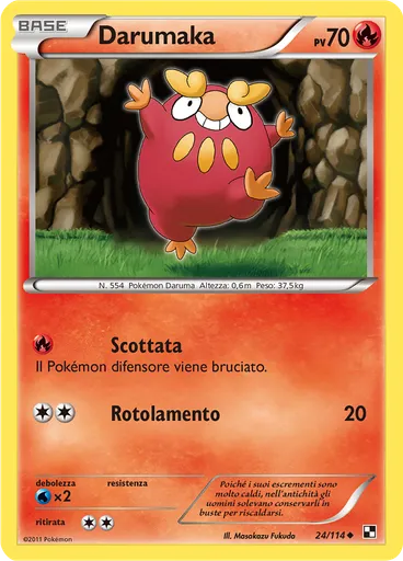 Darumaka