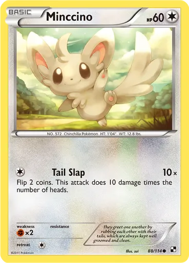 Minccino