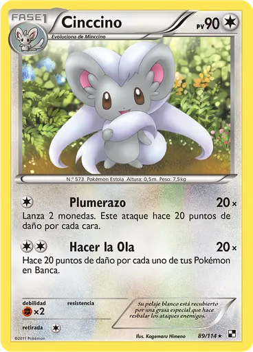 Cinccino
