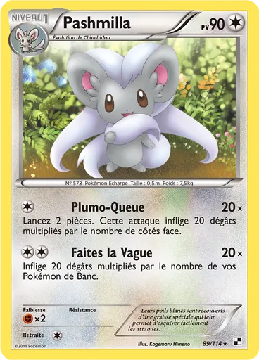 Pashmilla