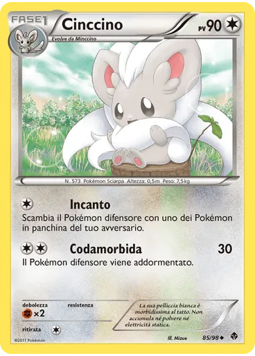 Cinccino