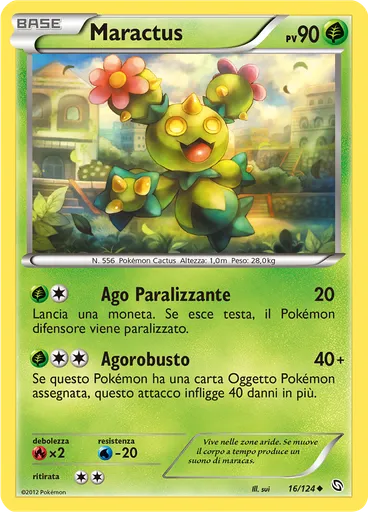 Maractus
