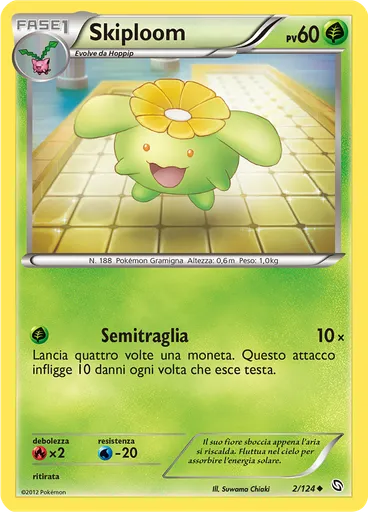 Skiploom