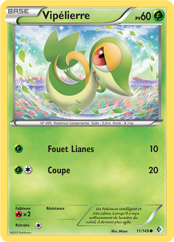 Vipélierre