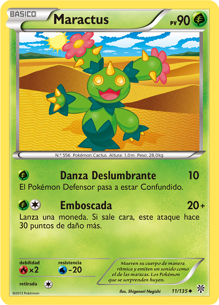 Maractus