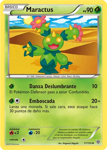 Maractus