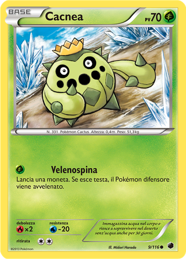 Cacnea