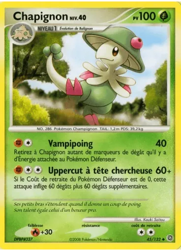 Chapignon