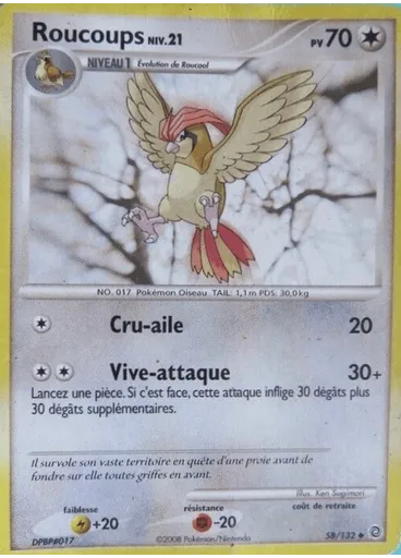 Roucoups