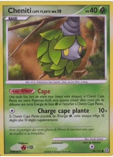 Cheniti Cape Plante