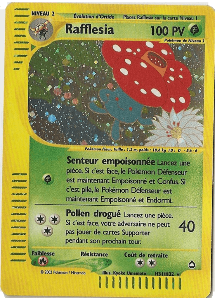Rafflesia