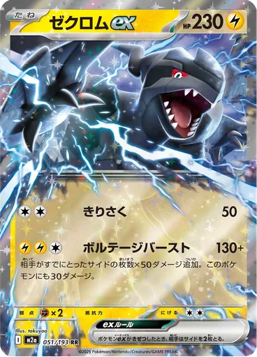 Zekrom ex