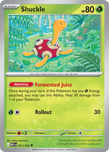 Shuckle (Reverse Holo)
