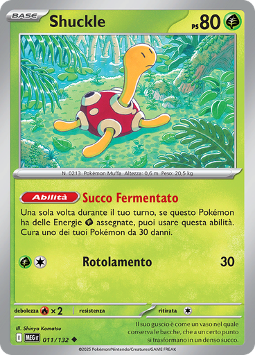 Shuckle (Reverse Holo)