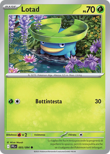 Lotad (Reverse Holo)