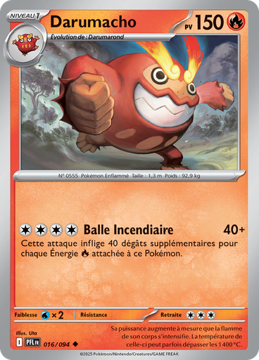 Darumacho (Reverse Holo)