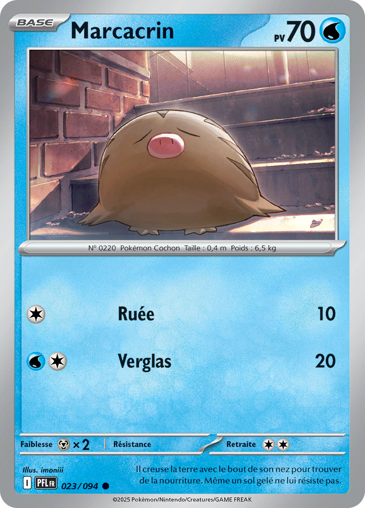 Marcacrin (Reverse Holo)