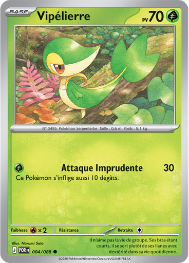 Vipélierre