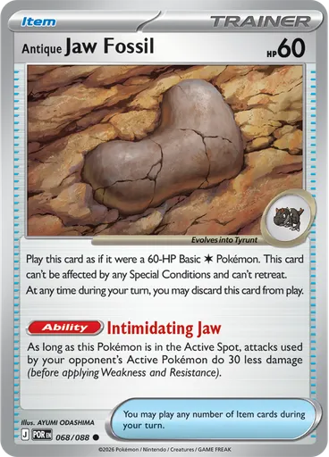 Antique Jaw Fossil
