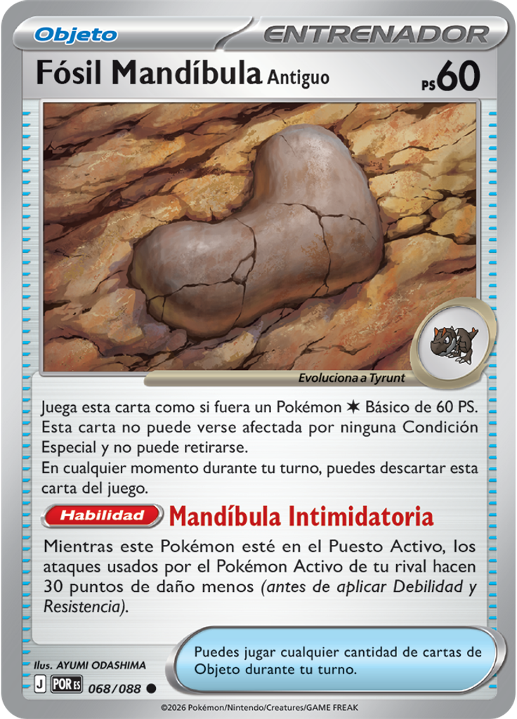 Fósil Mandíbula Antiguo