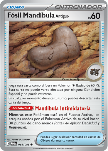 Fósil Mandíbula Antiguo