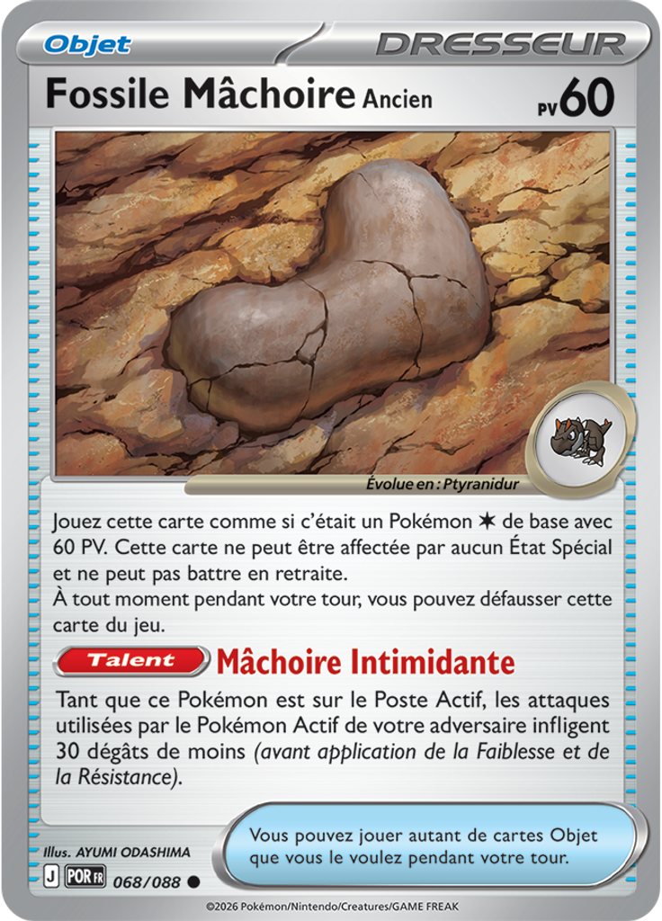 Fossile Mâchoire Ancien