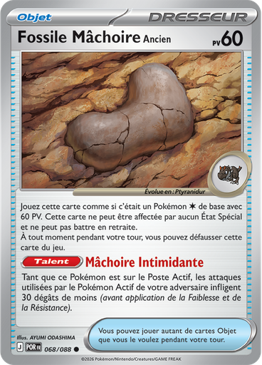 Fossile Mâchoire Ancien